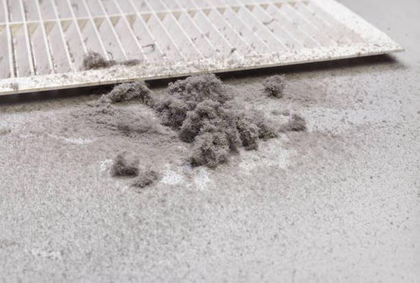 Best Best Air Duct Cleaning Near Me  in Enlow, PA