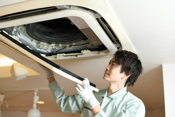 Air Duct Mold Removal in Enlow, PA